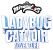 Miraculous logo